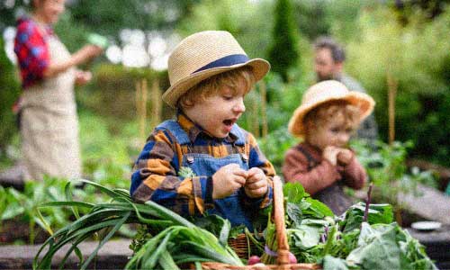 BIOLOGISCH Catering fuer Schulen und Kitas 2