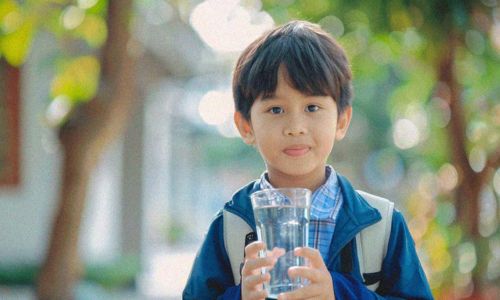 Biologisch Catering fuer Schulen und Kitas News 5 teaser
